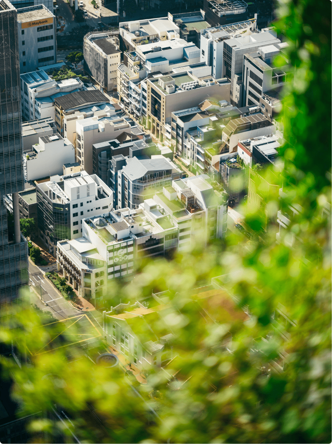 Vision ビジョン